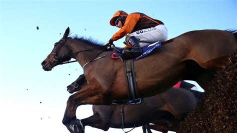 Many Clouds Chase: Grand National hero Noble .